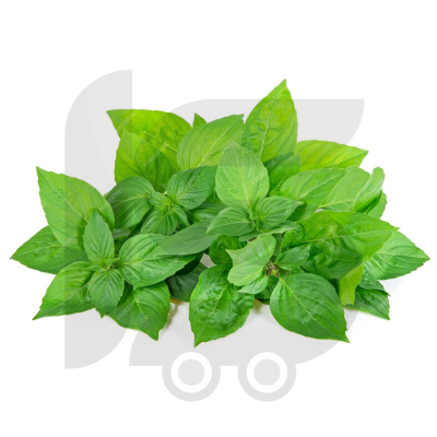 Basil-Leaves50-Grams