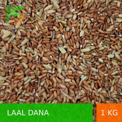 Laal-Dana1-Kg