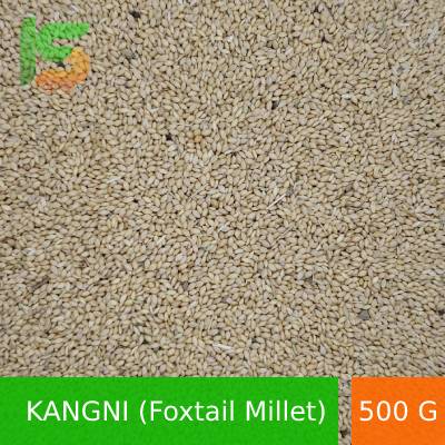 KS-Kangni-Foxtail-Millet500-Grams
