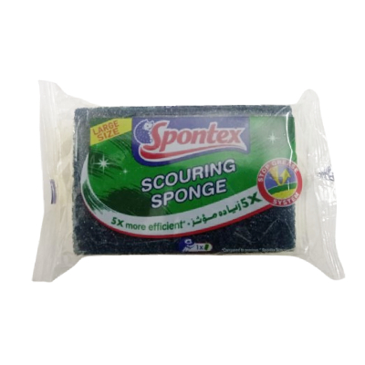 Spontex-Scouring-Sponge-Large1-Pc